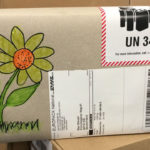 Kundenwunsch Sonnenblume Paket